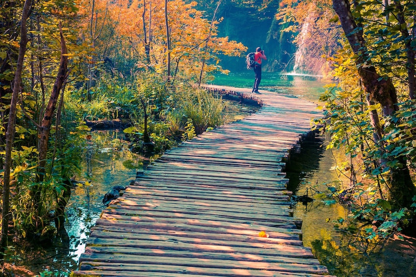 Plitvice Lakes Full-Day Guided Tour from Split by Gray Line