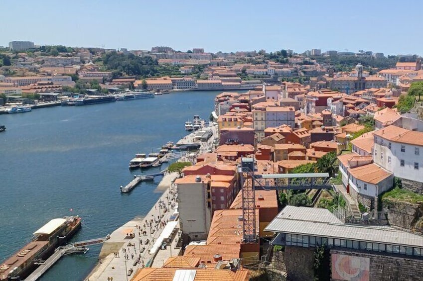 Porto and its charms - Tour from Lisbon