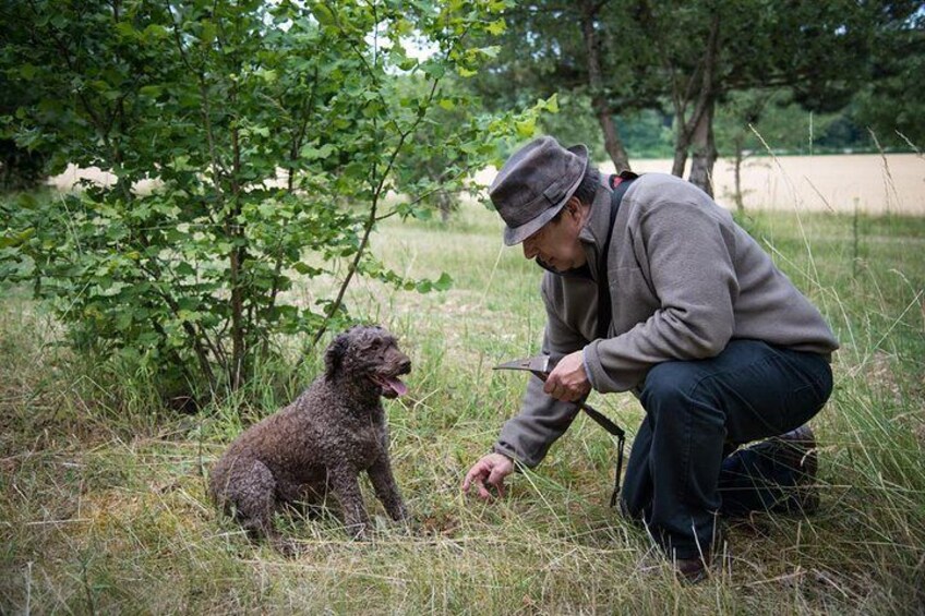 Discovery of the world of Truffles and tasting