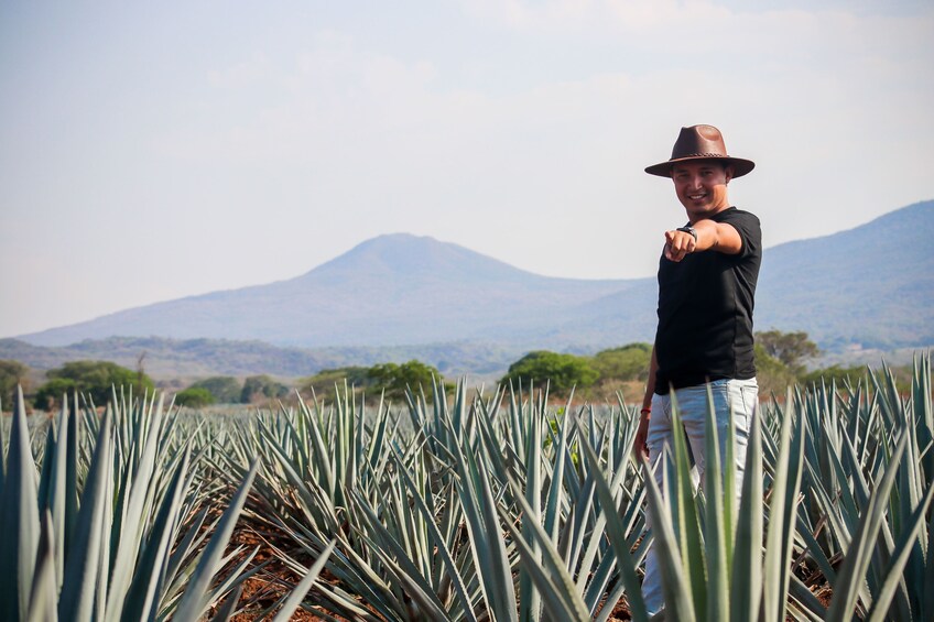 Tequila tour with Distillery and upgrade to Jose Cuervo