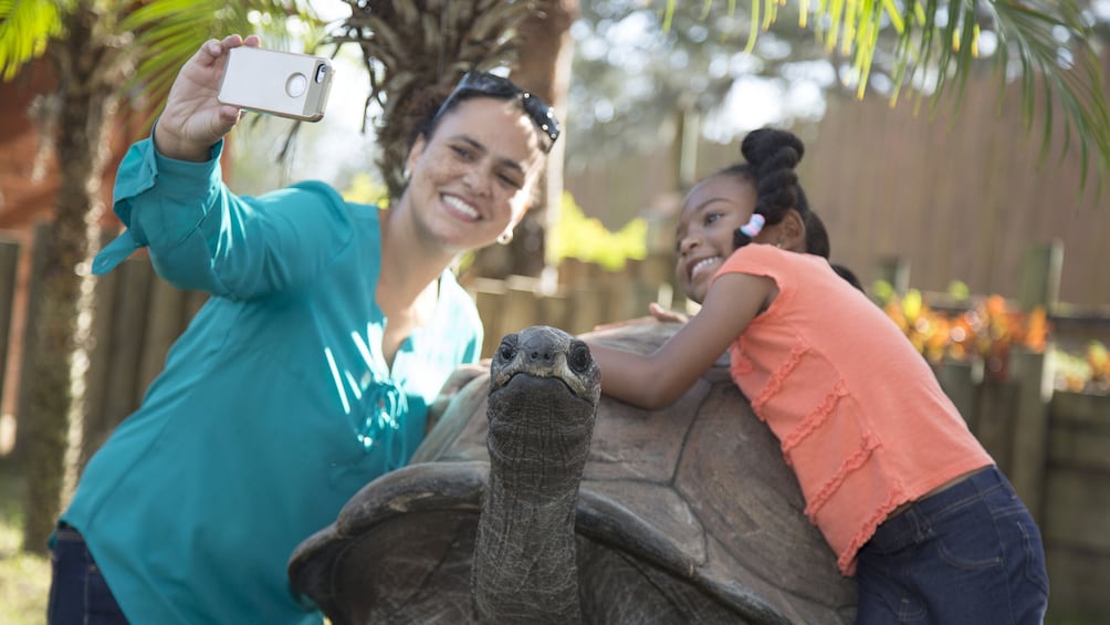 Tampa Bay CityPASS: Admission to Top 5 Tampa Attractions 
