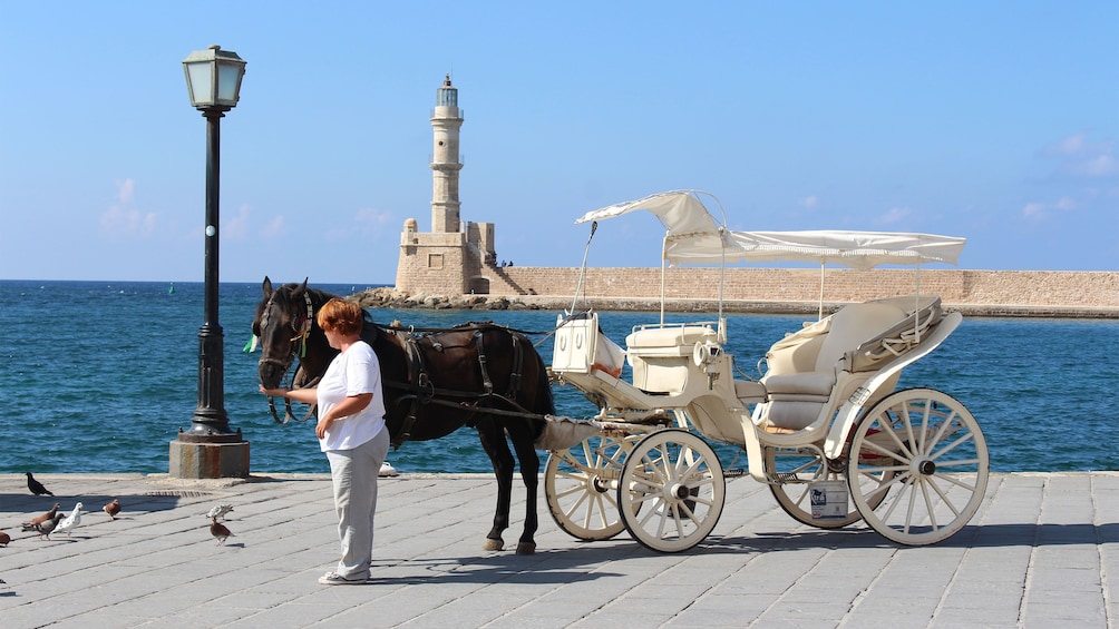 woman feeding carriage pulling horse in Greece