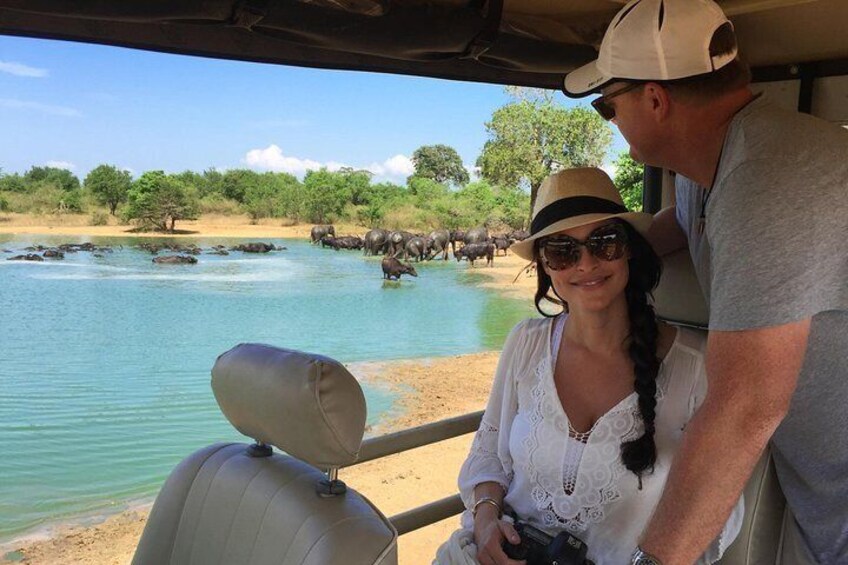 2 Day Tour of Udawalawe & Ella with Up Country Scenic Train Ride - All Inclusive