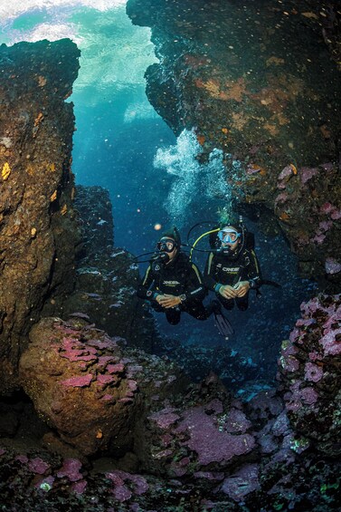 Discovering Scuba Diving in Chania