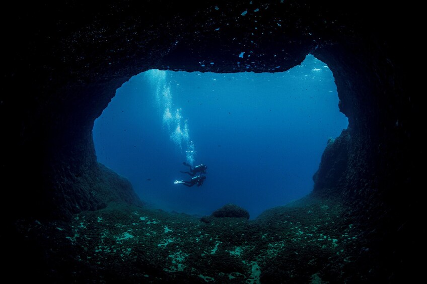 Discovering Scuba Diving in Chania