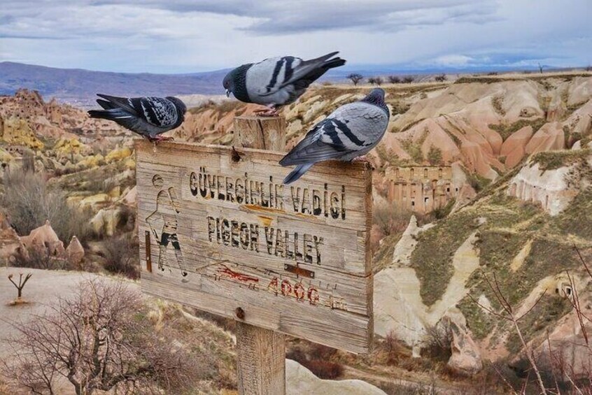 Cappadocia Tour by Locals