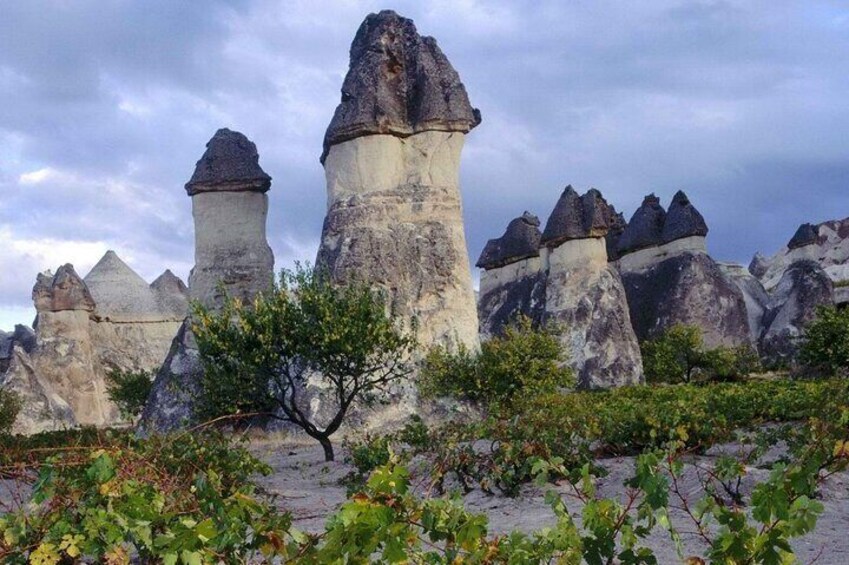 Cappadocia Tour