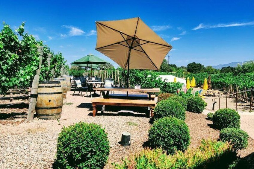 Wineyards