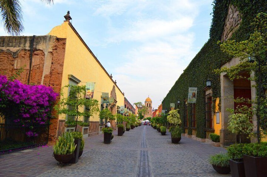 José Cuervo Tequila Day Experience from Guadalajara