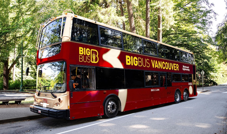 Hop-On Hop-Off Vancouver City Tour 