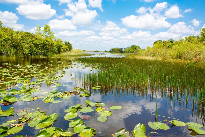 Everglades Airboat Adventure Tour