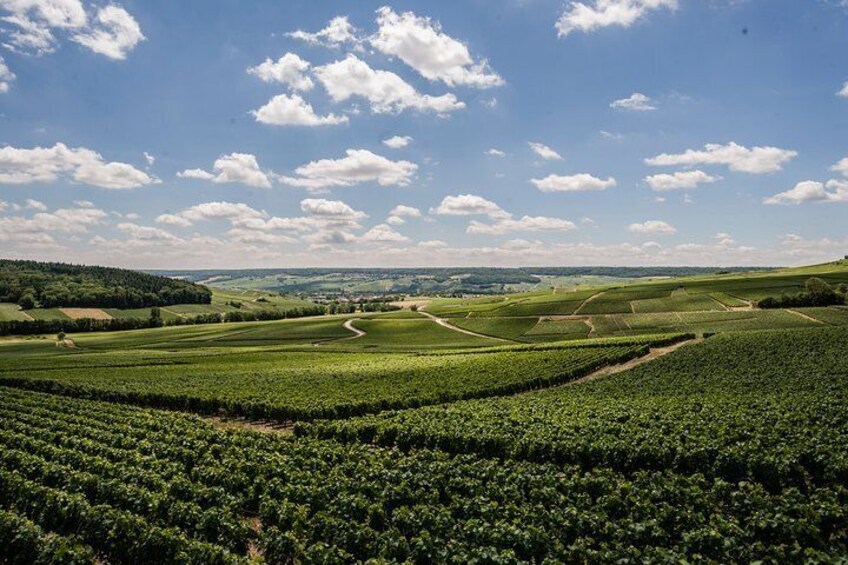 View of the valley from Maison MARC