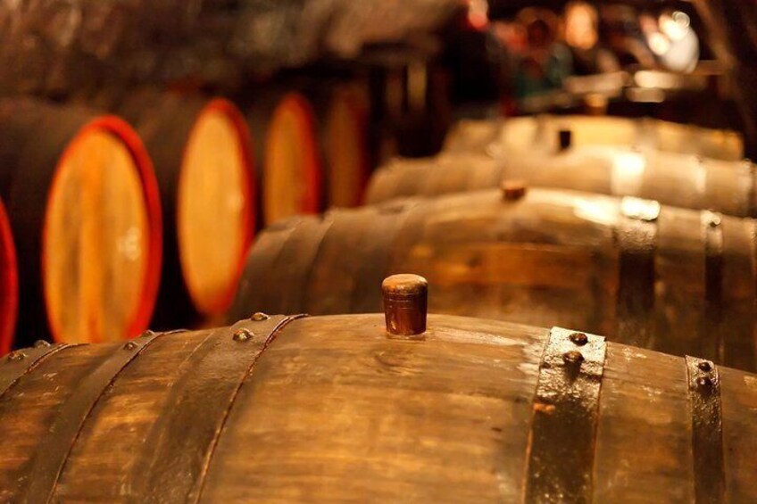 Private Lake Balaton Experience with an unforgettable Wine Tasting