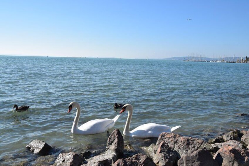 Private Lake Balaton Experience with an unforgettable Wine Tasting