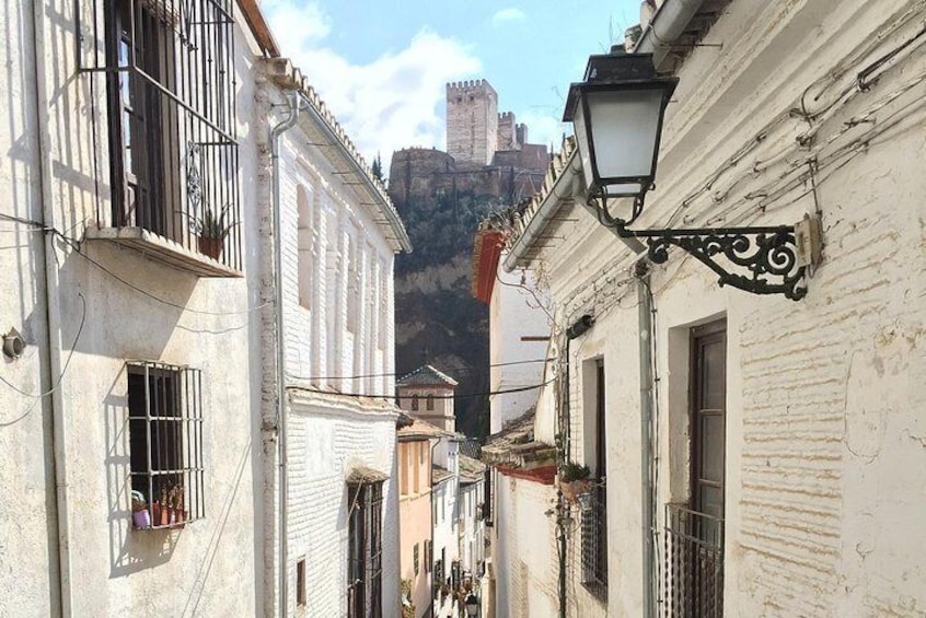 Granada Day Trip from Seville with Skip-the-line Alhambra Access