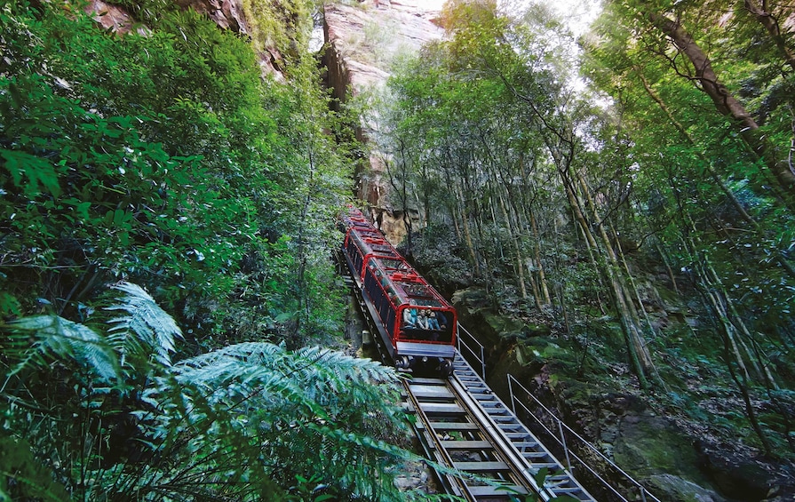 #1AWARDED Blue Mountains Tour, SMALL GROUP Scenic World, Lunch, RiverCruise