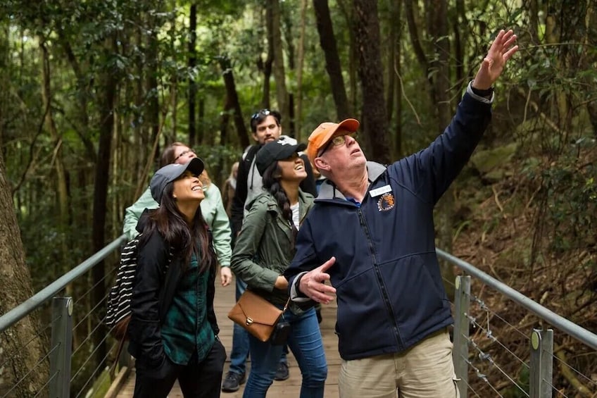 #1AWARDED Blue Mountains Tour, SMALL GROUP Scenic World, Lunch, RiverCruise