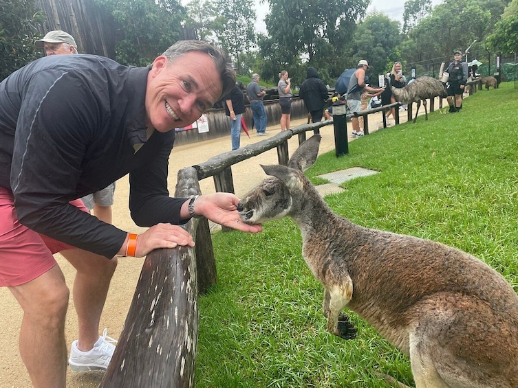 #1AWARDED Blue Mountains Tour, SMALL GROUP Scenic World, Lunch, RiverCruise