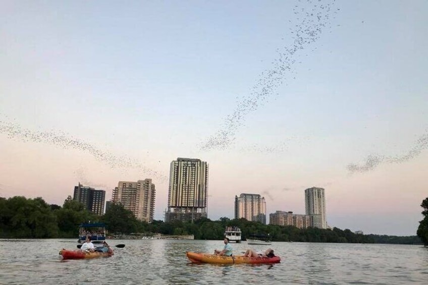 Congress Avenue Bat Bridge Kayak Tour in Austin
