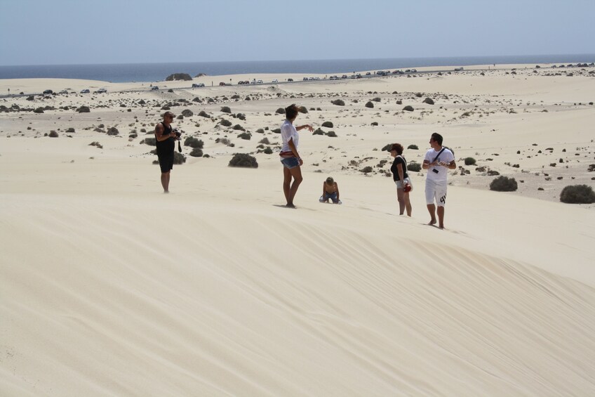 Full-Day Trip to Fuerteventura's Sand Dunes from Lanzarote
