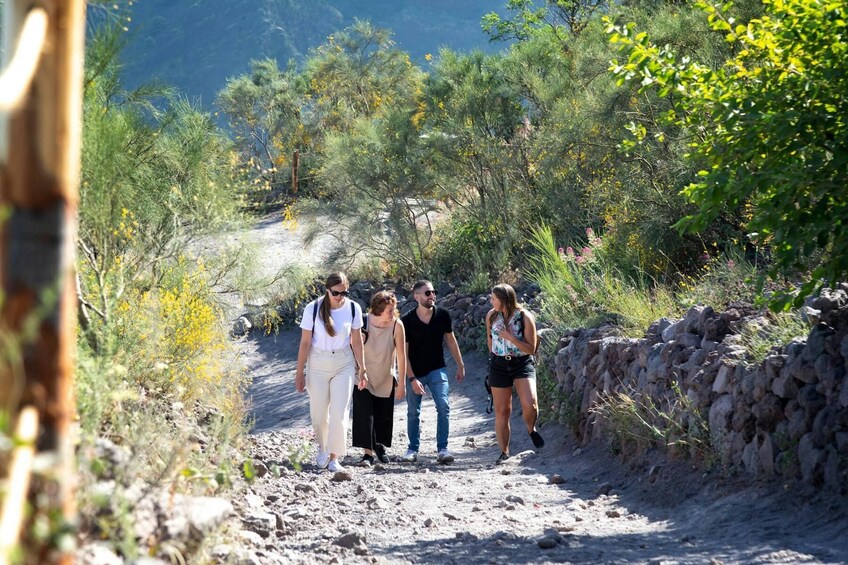 Mt Vesuvius & Vineyard, Lunch & Wine Tasting from Sorrento