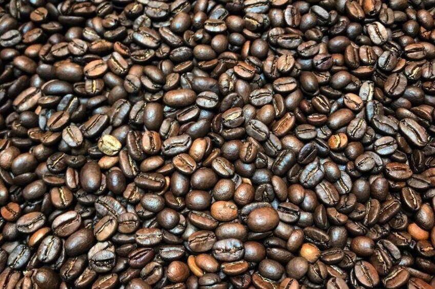 Roasting Experience at 14th Coffee Co