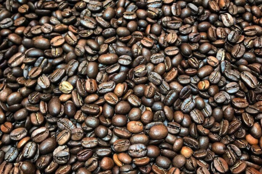 Roasting Experience at 14th Coffee Co