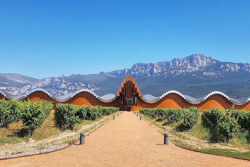 We can include visits / tastings in wineries with design