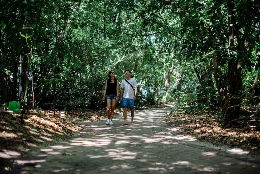 Half-Day Green Island, Great Barrier Reef Cruise