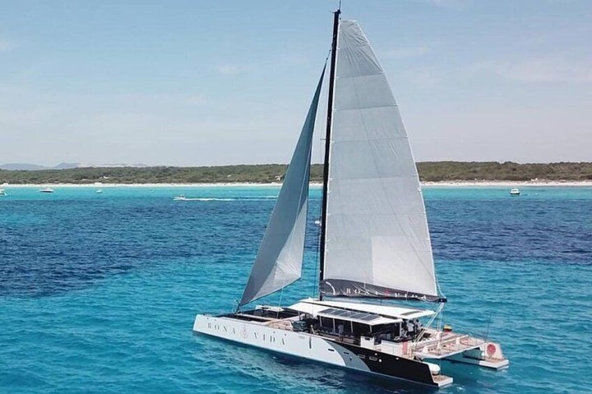 Excursion to the Rosario Islands