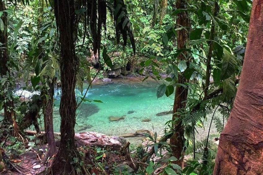 Emerald Puddle