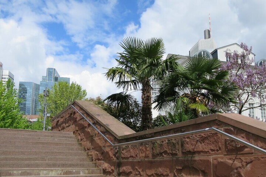 Treppenaufgang Nizza mit Palmen und Hochhäusern ©#visitfrankfurt, Jessica Jaekel-Badouin