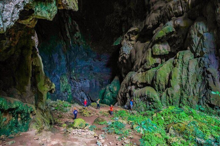 Elephant cave and Mada valley Jungle trek - 1Day