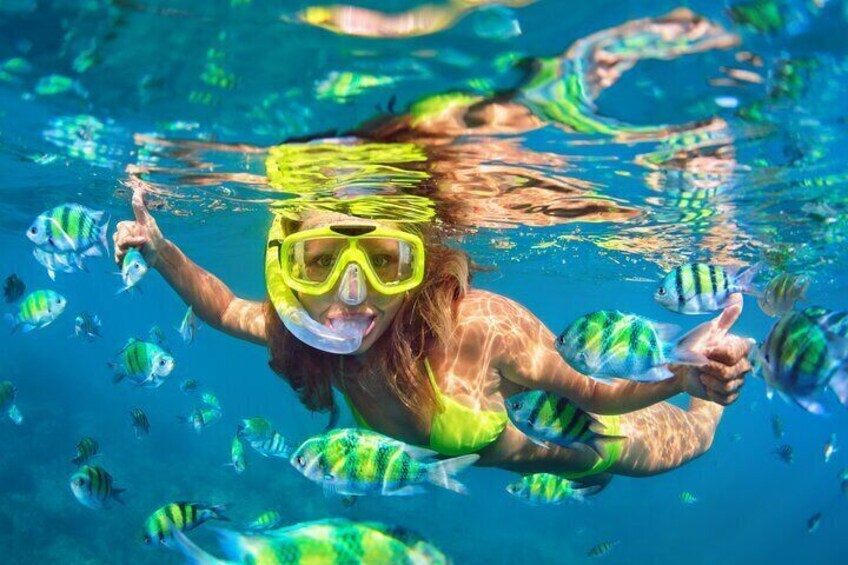 Multi-stop Boat Tour to Snorkel Reef, Beach, & Turtle Observation