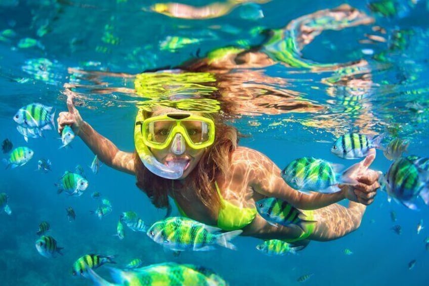 Multi-stop Boat Tour to Snorkel Reef, Beach, & Turtle Observation