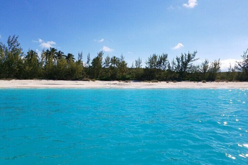 PIGS!!!!! Rose Island Bahamas Swimming Pigs and Snorkeling