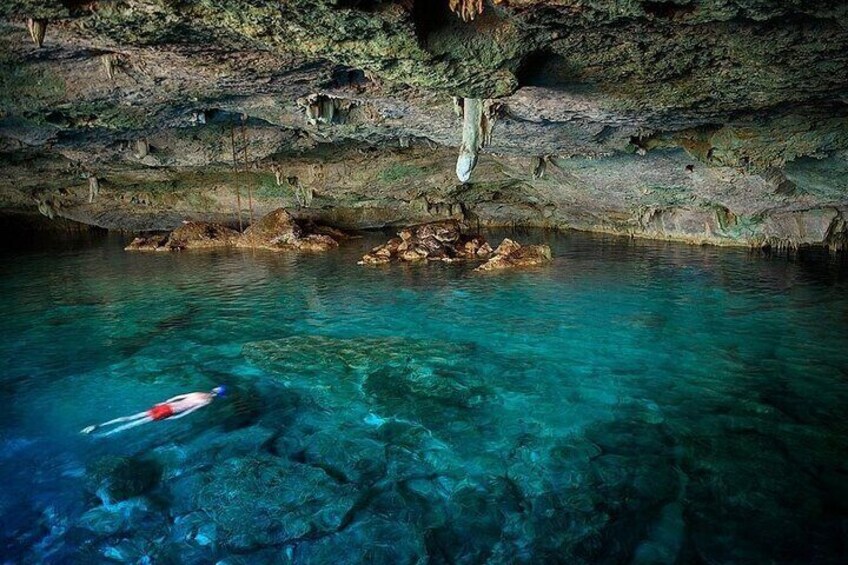 COMBO: Dolphin, Sea Cave & Captain Cook / Kealakekua Bay Snorkel 