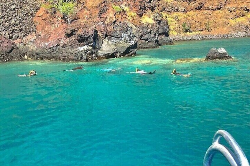Kealakekua Bay & Captain Cook Snorkel & Sea Cave Adventure! 
