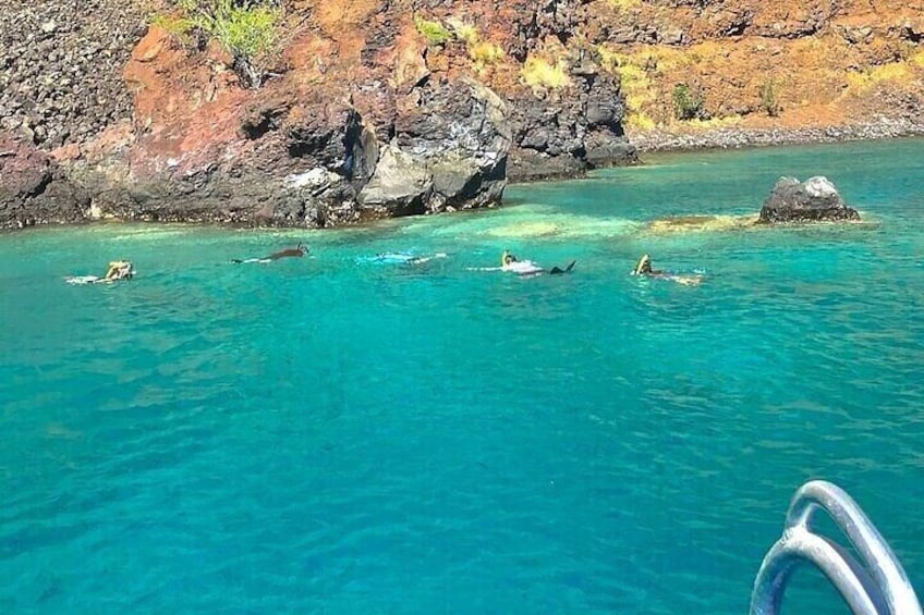 Kealakekua Bay & Captain Cook Snorkel & Sea Cave Adventure!