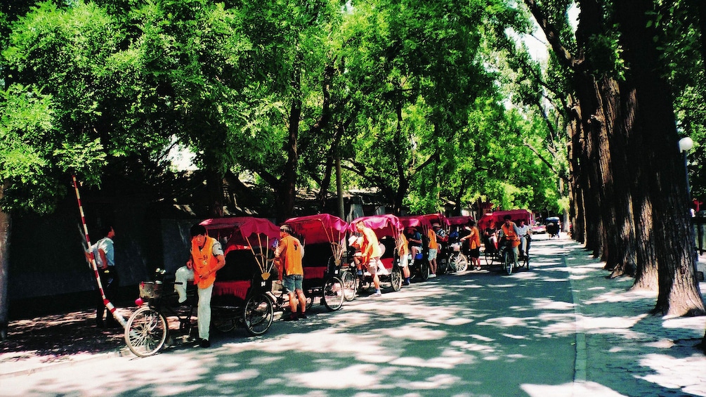 Row of rickshaws along a tree-lined street in Beijing