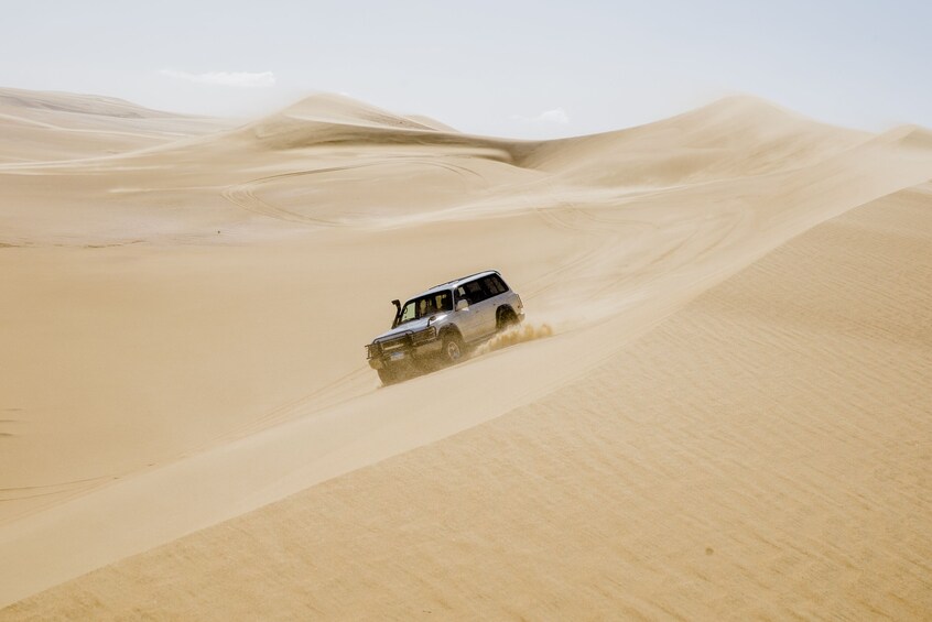 From Cairo: 4x4 Desert Safari with Sandboarding & Camel Ride