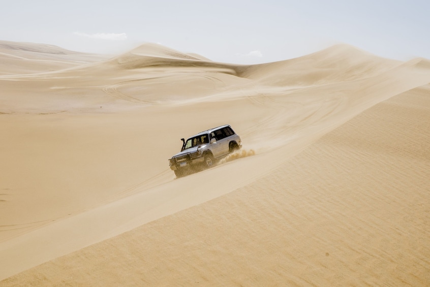 From Cairo: 4x4 Desert Safari with Sandboarding & Camel Ride