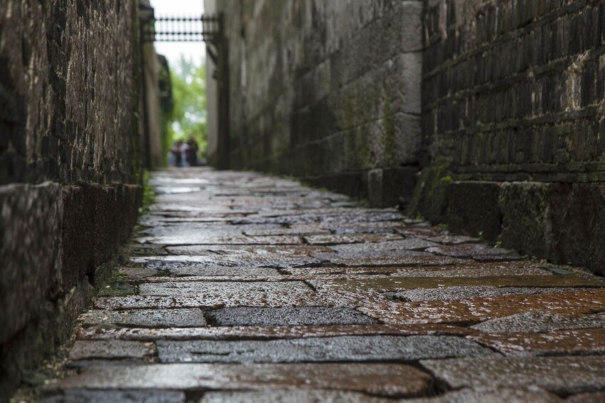 Private Full-Day Wuzhen Excursion