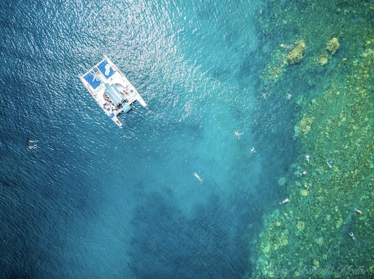 Afternoon West Maui Snorkel