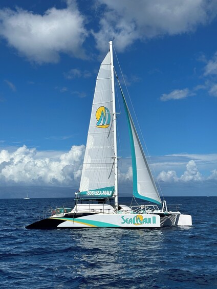 Afternoon West Maui Snorkel Cruise