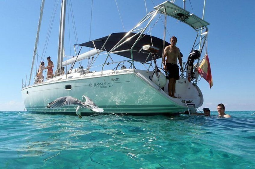 Day Sailing Trip. Exclusive.