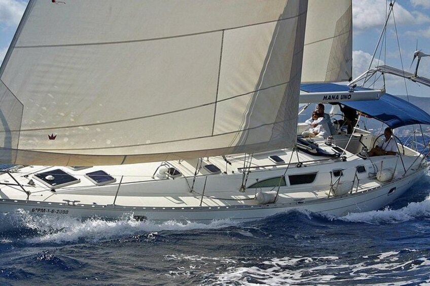 Day Sailing Trip. Exclusive.