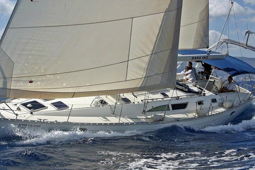 Day Sailing Trip. Exclusive.