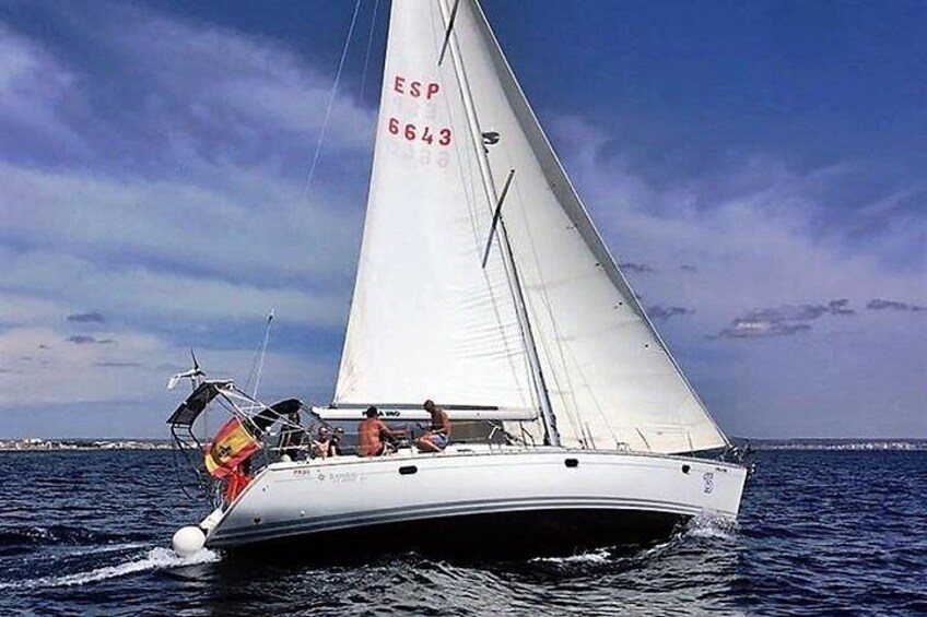 Day Sailing Trip. Exclusive.
