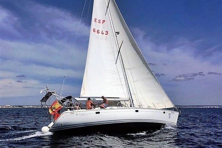Day Sailing Trip. Exclusive.